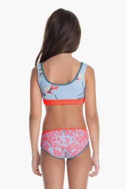 Maaji Sporty Finding Flipper Girls Swim Set (Size 4 Left) -Deals New Girls Wear Store finding flipper girls bikini 4 coral